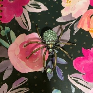 Halloween is around the corner. Here’s a beautiful spider lapel pin.